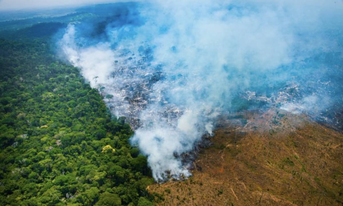 Queimadas na Amazônia têm alta. Foto: Imazon 
