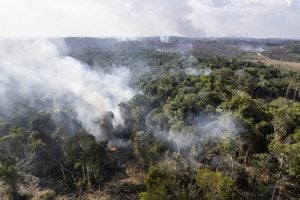 Inpe registra aumento de queimadas na Amazônia e no Cerrado em 2022