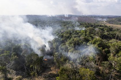 Inpe registra aumento de queimadas na Amazônia e no Cerrado em 2022 –  Sustentabilidade – CartaCapital