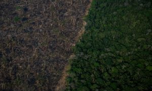 Urgências brasileiras e COP-26