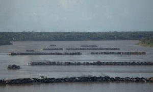 Com medo da fiscalização, garimpeiros se dispersam no Rio Madeira; autoridades anunciam ações