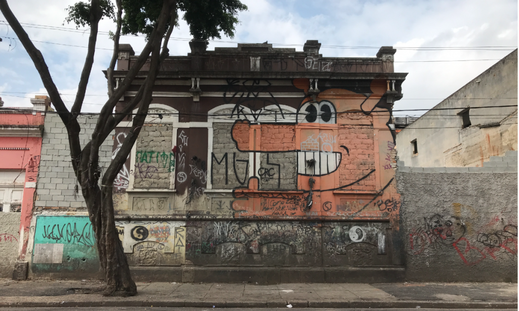 Demolições em SP invisibilizam direitos a moradia, patrimônio cultural e assistência
