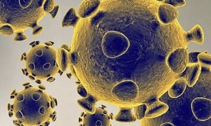 É possível desenvolver ‘muito rápido’ uma vacina contra a variante Ômicron, diz cientista da Oxford