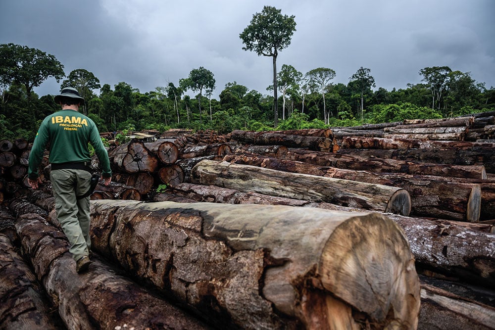 Devastação. De 2020 a 2021, o desmatamento atingiu 13 milhões de quilômetros quadrados da Amazônia 