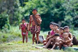 Garimpeiros exigem sexo com meninas Yanomami em troca de comida, denuncia relatório