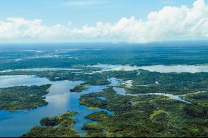 Contra determinação do TCU, União e Rondônia dão guarida a grileiros