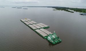 O ataque do governo federal aos assentamentos na Ilha do Xingu, no Pará