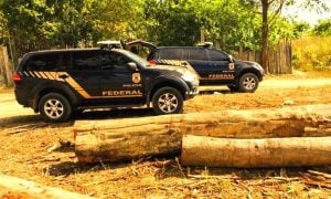 PF deflagra terceira operação contra suspeitos de financiar o garimpo ilegal em terras yanomami