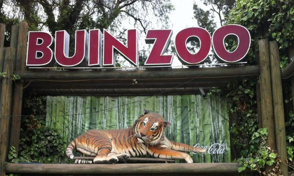 Zoológico no Chile começa a vacinar animais contra a Covid