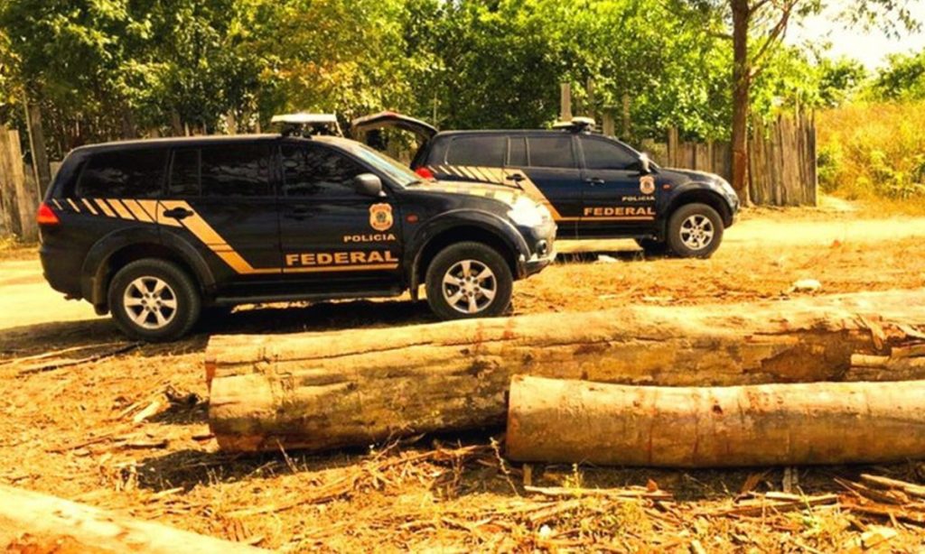 Laudo da PF mostra que madeira apreendida 'sumiu' antes de decisão judicial favorável a Wassef
