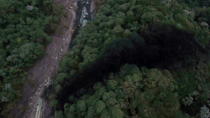 Vazamento de mais de 6 mil barris de petróleo contamina Amazônia equatoriana