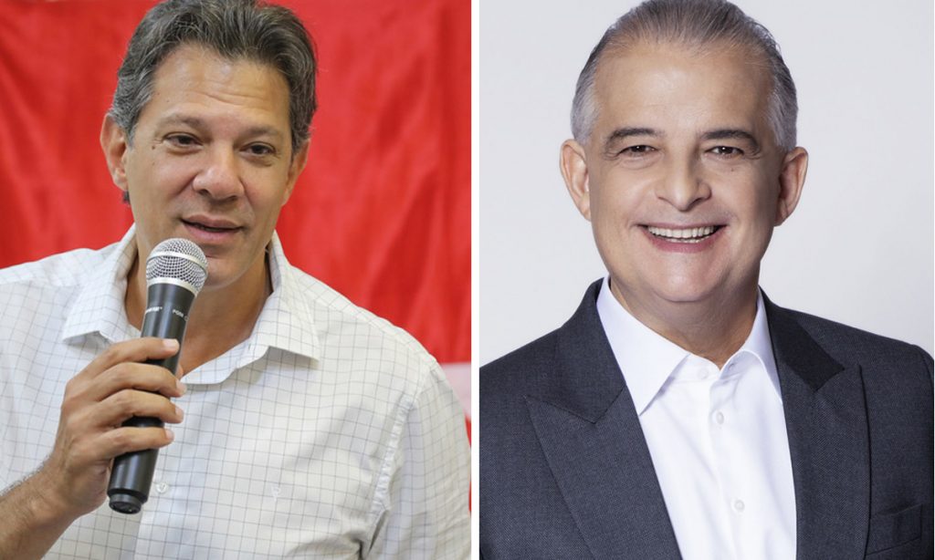 ‘Haddad também é um bom nome para o Senado’, alfineta França