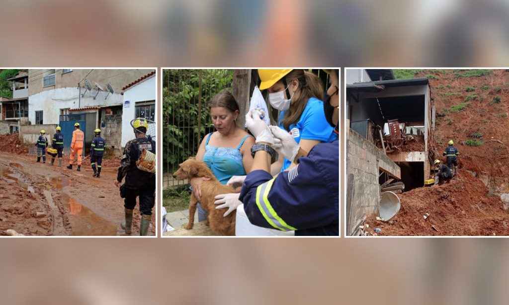 Conheça o Grad, grupo que se dedica a salvar animais em tragédias como a de Petrópolis e Brumadinho