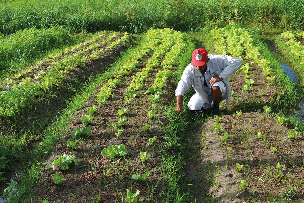 ‘Destruiu os nossos sonhos’. O relato de agricultores presos injustamente por Moro
