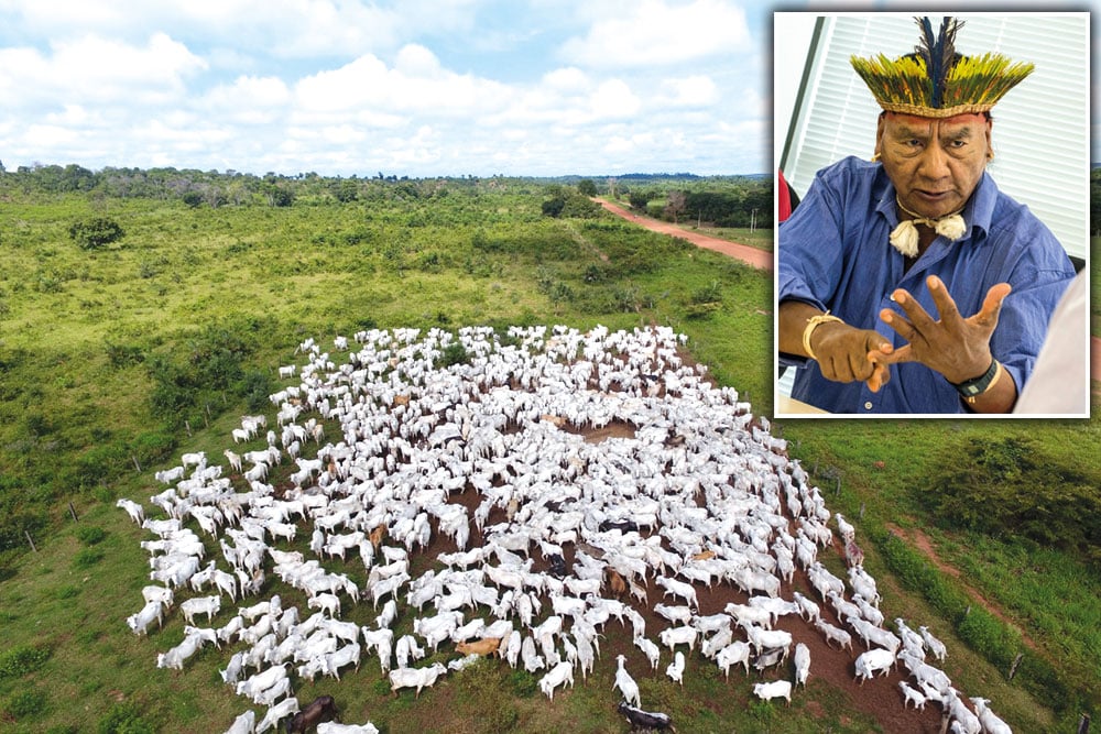 Milicianos invadem terras indígenas e abrem espaço para pecuaristas e garimpeiros
