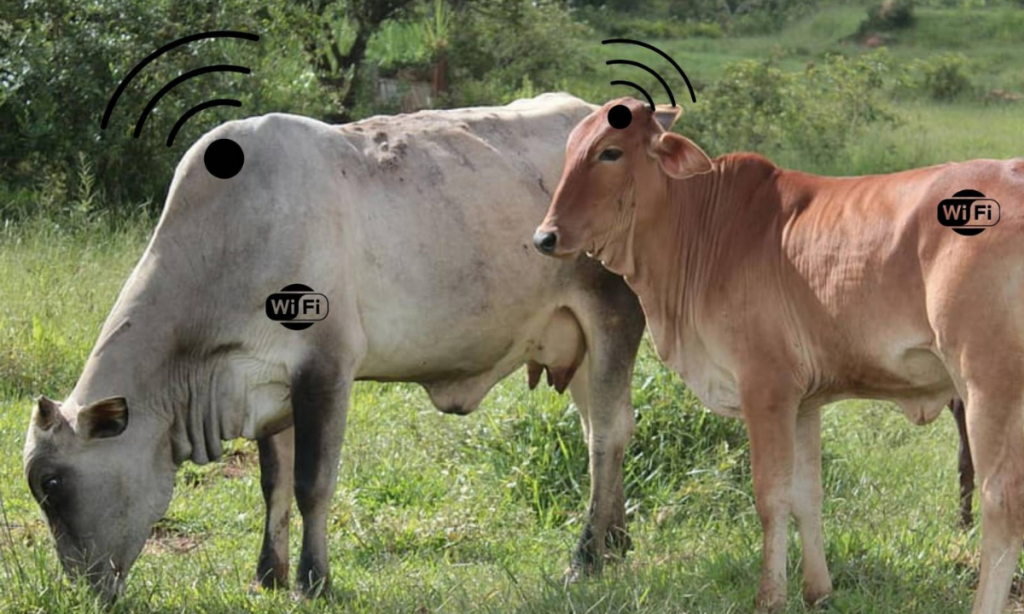 A política de conexão à internet pode se tornar a política do agro