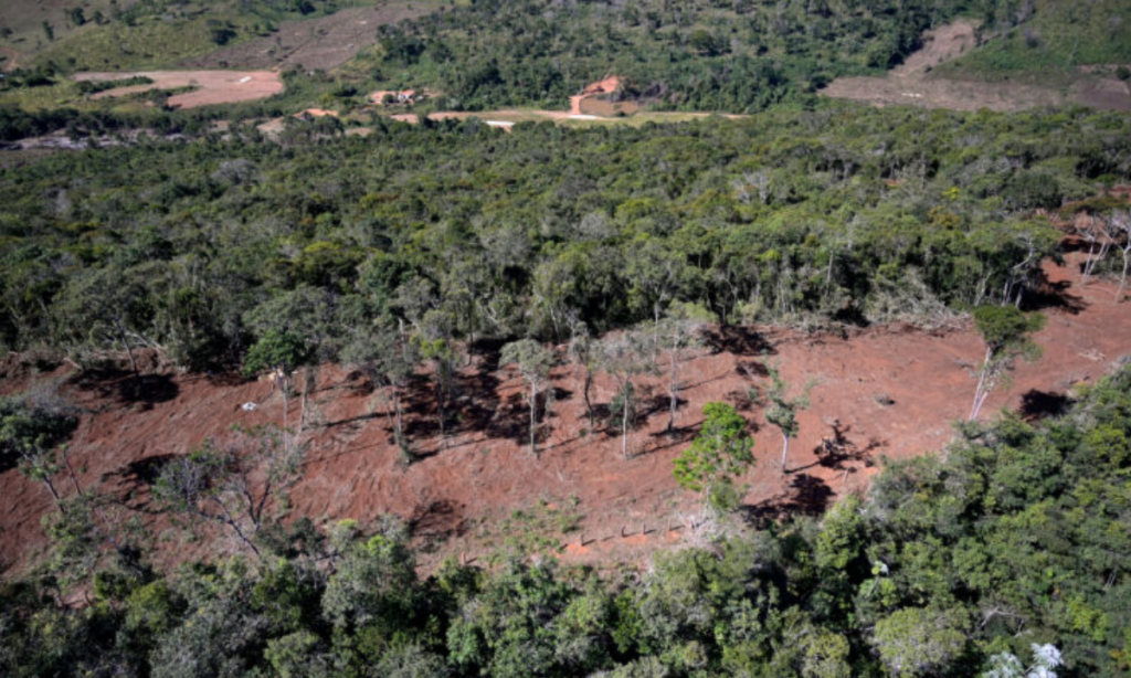Aumento da devastação na Mata Atlântica pode impactar diretamente 70% dos brasileiros, alerta pesquisador