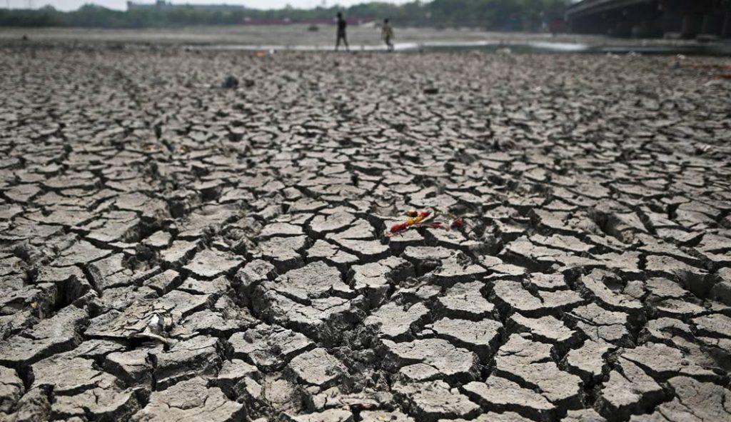 Índia suspende exportação de trigo e pode agravar crise de abastecimento mundial