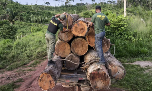 Ambientalistas celebram acordo da UE que proíbe importação de produtos do desmatamento, mas alertam para pressão no Cerrado