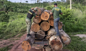 AGU dá aval a cobrança de R$ 29 bilhões em multas ambientais barradas sob Bolsonaro