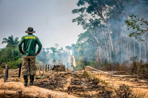 Desmatamento na Amazônia atinge o 3º pior índice para o mês de outubro