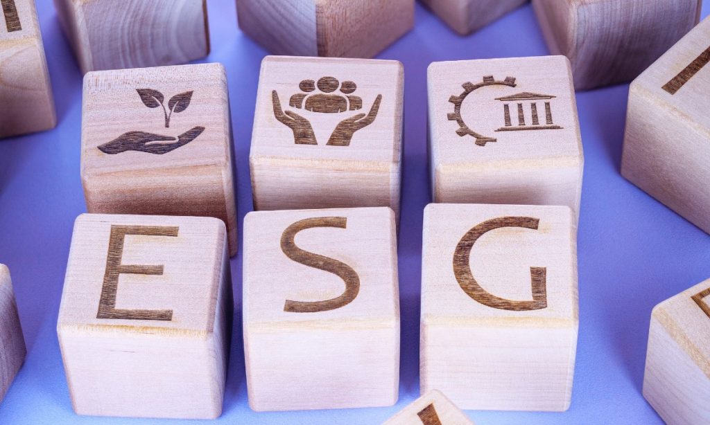 Por que regular a divulgação de informações sobre sustentabilidade empresarial?