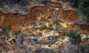 Garimpo cresce em ritmo acelerado e supera área explorada por mineração legal, diz Mapbiomas