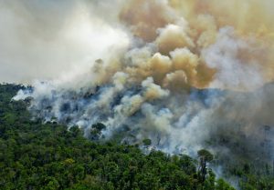 Brasil perdeu 13% da vegetação nativa nos últimos 37 anos