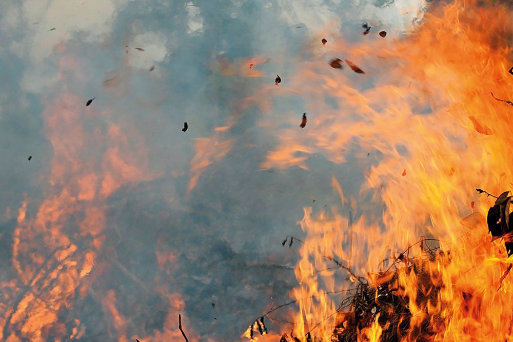 Justiça bloqueia R$ 39 milhões em bens de infratores ambientais