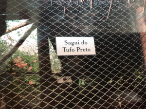 O inventário