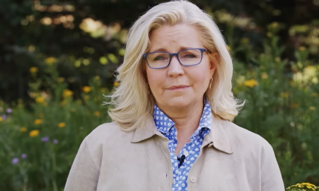 Congressista Liz Cheney faz campanha à sombra de Trump no país dos caubóis