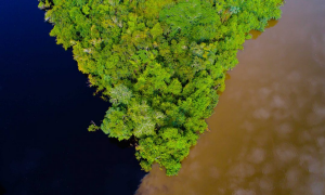 Justiça do Mato Grosso manda anular reserva ambiental na Amazônia após pedido de desmatadores