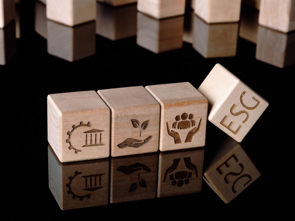 ESG: A diferença entre o remédio e o veneno está na dose