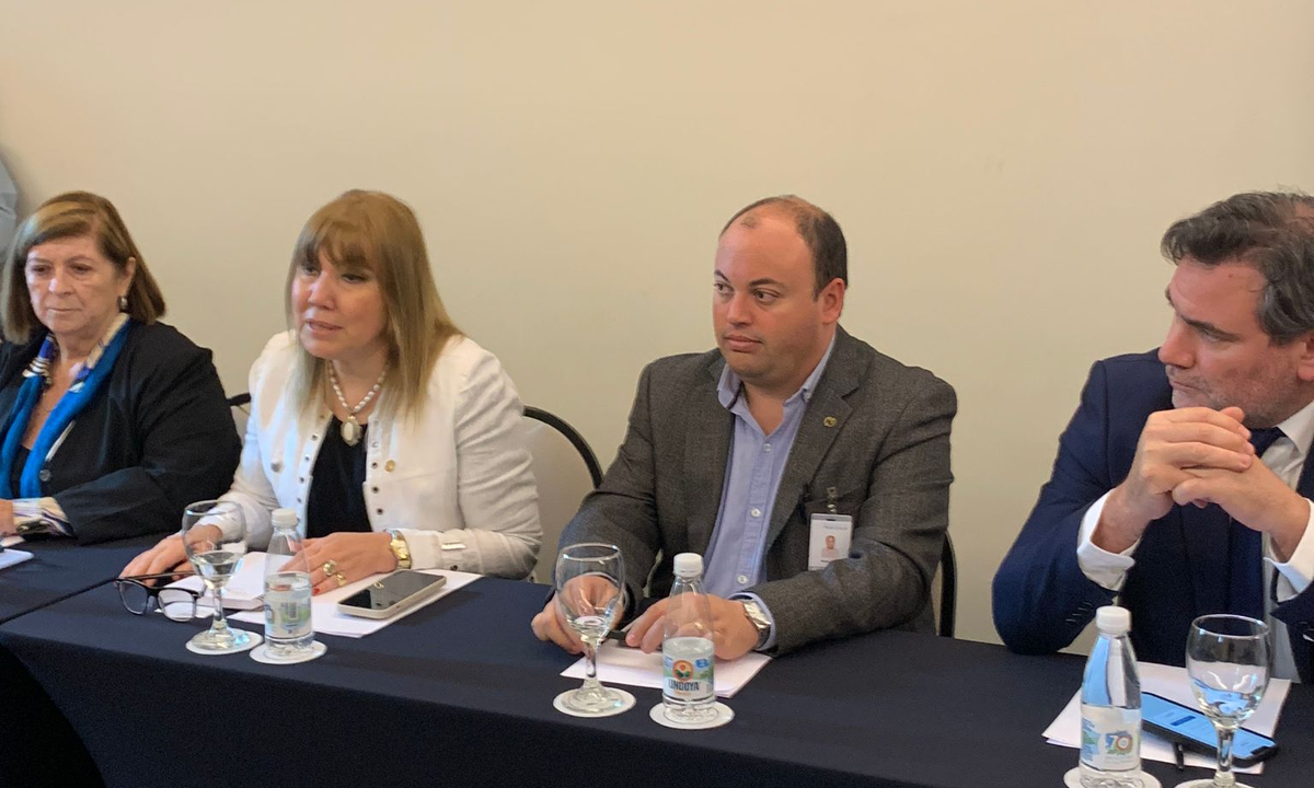 Representantes do Parlasul chegam ao Brasil para missão de observação eleitoral