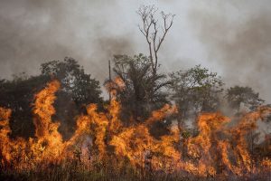 Queimadas na Amazônia atingem o maior número desde 2010