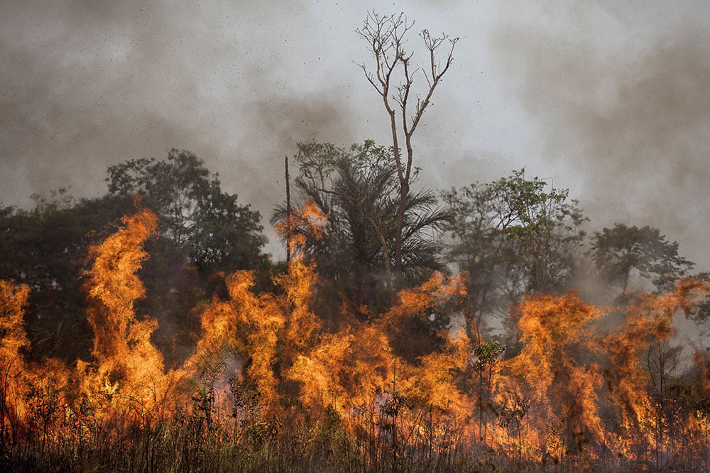 O desmatamento da Amazônia bate novos recordes - Imagem: Bruno Kelly/Amazônia Real 