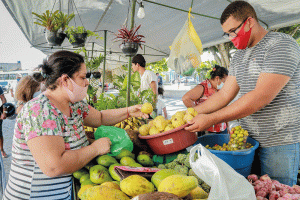 IPCA de novembro fica em 0,28%; taxa aumentou 0,04 ponto percentual em relação a outubro