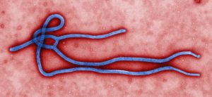 Uganda anuncia sua primeira morte por ebola desde 2019