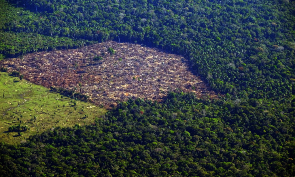 Pesquisa mede impacto de mudanças do clima e desmatamento na Amazônia