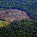 Pesquisa mede impacto de mudanças do clima e desmatamento na Amazônia