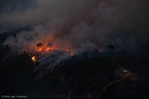 Alertas de desmatamento alcançam o segundo pior da série histórica em agosto