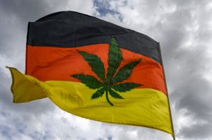 Alemanha estuda aprovar uso recreativo da maconha: 