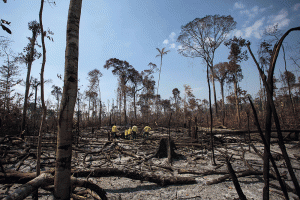 Sob Bolsonaro, desmatamento na Amazônia registra mais um recorde em dezembro