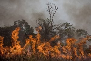 Amazônia perdeu quase três mil campos de futebol por dia em 2022, diz Imazon