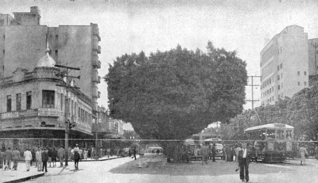 A casa da Avenida Paraná