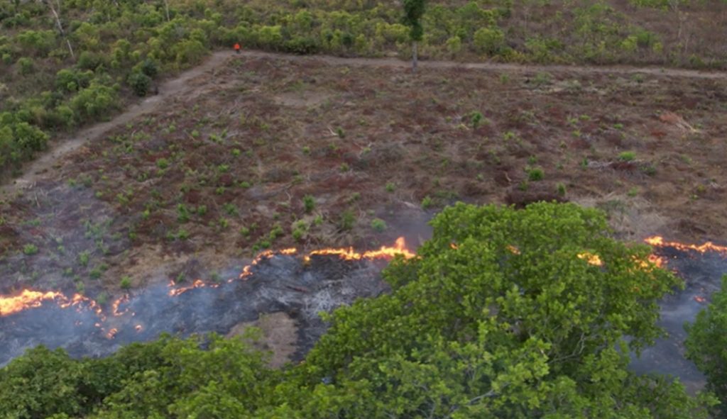 Precisamos desesperadamente de um presidente do Brasil que não incendeie a Amazônia, diz vídeo do NY Times