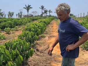 Sob Bolsonaro, produtores de alimentos passam fome na Amazônia