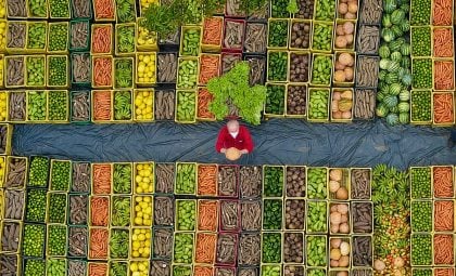 Grupo do Desenvolvimento Agrário na transição gera expectativa para retomada de políticas públicas