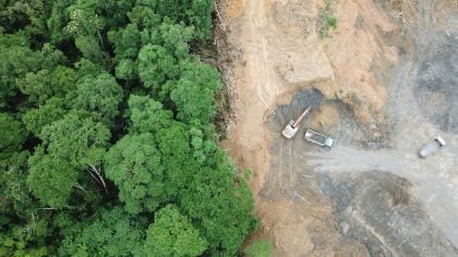 Políticos da Amazônia usam mídia como trampolim para discursos e projetos de destruição ambiental