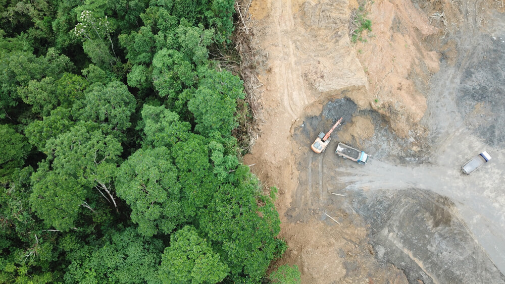 Políticos da Amazônia usam mídia como trampolim para discursos e projetos de destruição ambiental